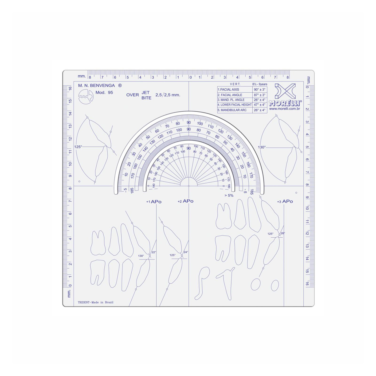Template Cefalométrico Benvenga 1995 - Morelli